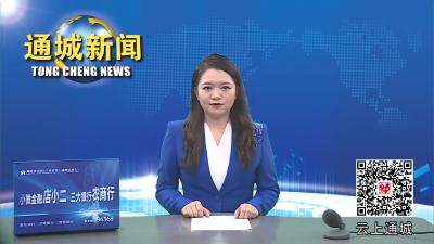 视频-市教育局来通城调研教育发展工作