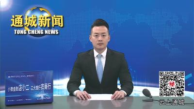 视频-傅秋涛上将之女傅援到通城追寻父辈红色足迹 