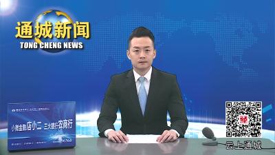 视频-杨修伟率队赴深圳市、东莞市招商考察