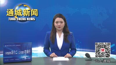 视频-通城县大坪乡：“检查+培训”拧紧校车安全弦 护卫学生上学路 
