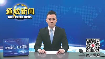 视频-通城县2023年金秋招聘月活动全面启动 