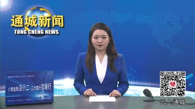 视频-通城县委常委会2023年第19次会议召开 