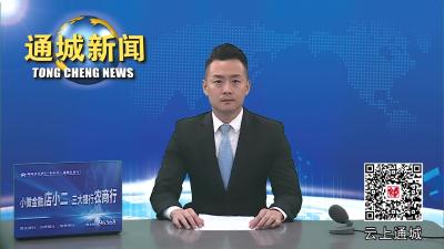 视频-通城集中收听收看全市生态环境保护大会暨迎接第二轮省级生态环境保护督察动员电视电话会 