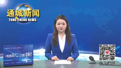 视频-通城县组织退休老干部开展重阳节参观考察活动