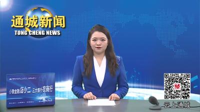 视频-十五届通城县委第五轮巡察情况反馈全部完成