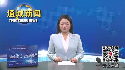 视频-湖北省发改委长江经济带发展处来通城调研 