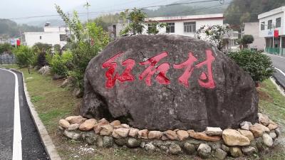 视频-通城县麦市镇：“四好农村路”铺就幸福路