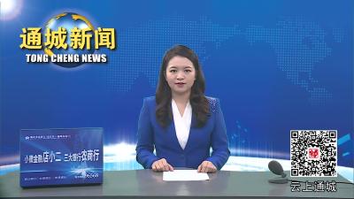 视频-广东光宝微电子有限公司入驻通城（武汉）离岸科创中心暨半导体封测项目签约仪式举行 