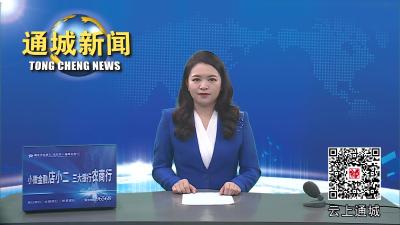 视频-通城举行2023优秀文化志愿服务团队和志愿者表彰大会 