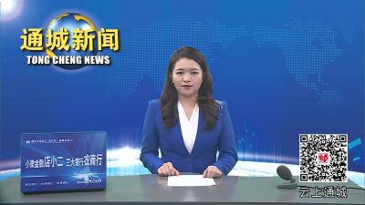 视频-【平安通城】通城：开展“一棚一盔”交通安全专项整治 
