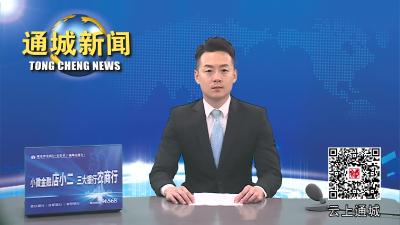 通城县收听收看全市“拼搏赶超”2023年第6次会议