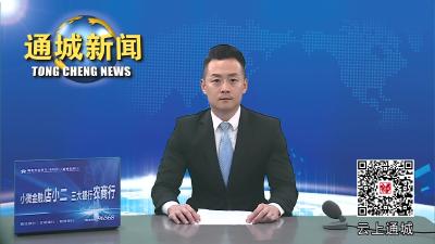 视频-李丽来通城调研项目建设推进工作 