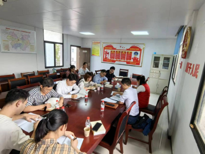 谈心声 鼓干劲 话未来 通城县大坪乡召开青年干部座谈会