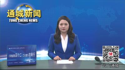 视频-省公共资源交易中心第五督导检查组来通城督导迎检工作 