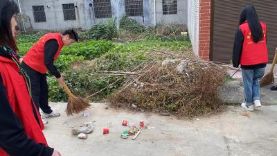 通城县马港镇： 组织年轻干部进行“万人洁城”志愿活动