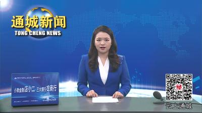 视频-通城县举办首届“燃气安全公众开放日”活动 