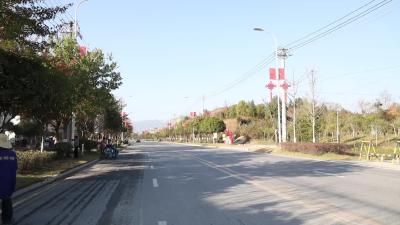 视频-城区绿化提档升级  通城县全力创建省级园林城市 
