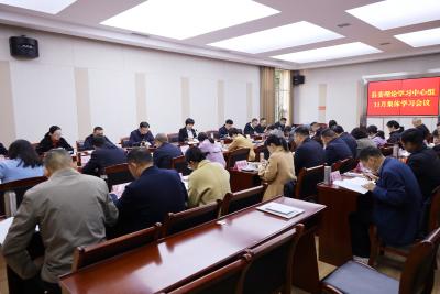 通城县委理论学习中心组开展11月份集体学习