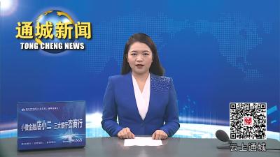 视频-杨修伟在主题教育专题党课上强调：以新思想开启新征程 奋力谱写全面建设社会主义现代化通城篇章 