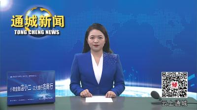 视频-杨修伟调研督办危房消除和土地收储利用工作
