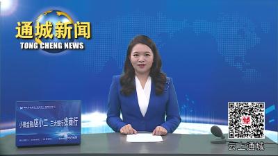 视频-中南财经政法大学来通城调研乡村振兴工作并开展定点帮扶 