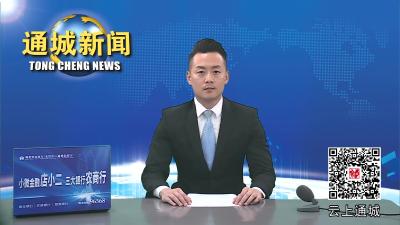 视频-通城县开展人大代表建议办理“微询问”活动 