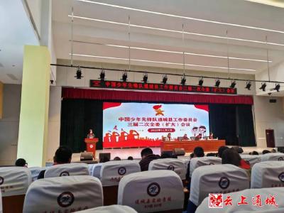 中国少年先锋队通城县工作委员会三届二次全委(扩大)会议召开