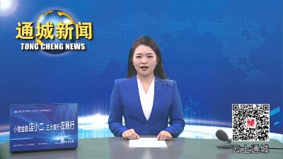 视频-【大兴调查研究之风】刘中英调研电商快递工业物流工作 