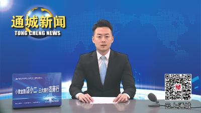 国家林草局来通城调研油茶产业发展情况