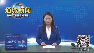 视频-2023年湖北•咸宁第六届“南鄂杯”高层次人才创新创业大赛复赛（通城赛区）举行 