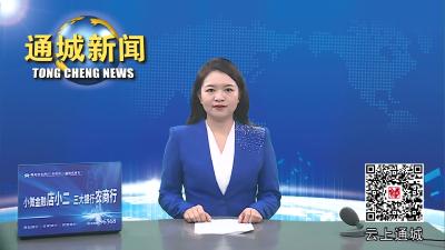视频-2023年第17次通城县政府常务会议召开