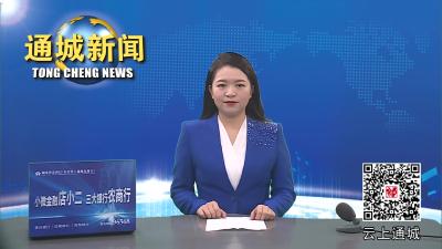视频-通城县召开“专精特新”试点县推进工作督办会 