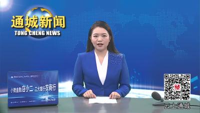 视频-刘中英暗访督查巩固拓展脱贫攻坚成果后评估工作 