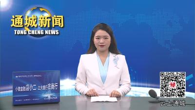 视频-【遍访企业解难题】杨修伟到大坪乡开展“5011”企业帮扶活动 