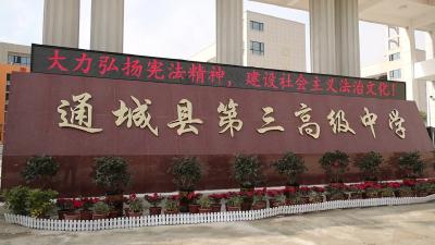通城三中开展法治宣传教育活动