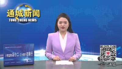 视频-通城县委政法委员会2023年第三次全体会议召开 