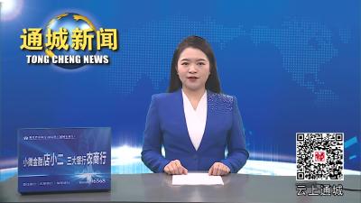 视频-通城县收听收看咸宁市安全生产、消防安全暨防灾减灾救灾工作电视电话会议 
