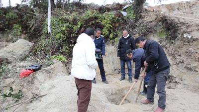 【深化殡葬改革 树立文明新风】以树为碑 与花草相伴 通城一逝者长眠油茶树下