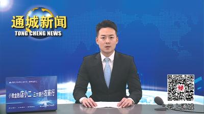 视频-2023年通城县人民政府残疾人工作委员会全体会议召开 
