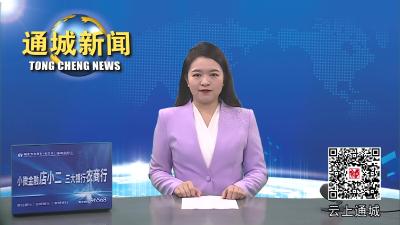 视频-马港镇第十届人民代表大会第五次会议召开 