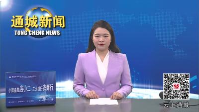 视频-鄂南农贸大市场将于2024年1月3日盛大开业 