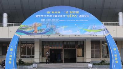 视频-揽才超200人！通城 “引才专列”满载而归 