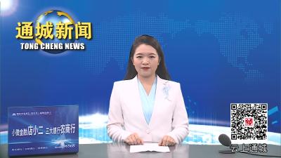 视频-国家金融监督管理总局湖北监管局来通城调研 