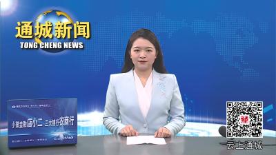 视频-杨修伟调研通修高速通城段拆迁安置点选址工作 