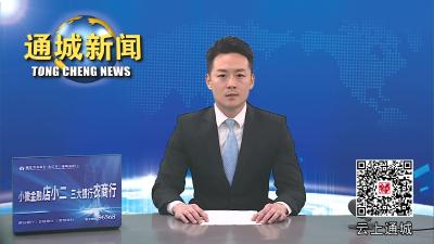 通城县召开耕地保护和撂荒地整治约谈督办会