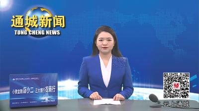 视频-通城县红十字会基层组织建设推进会召开 