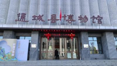 咸宁青年画家丁力在通城县博物馆举办“千里江山”叶画展