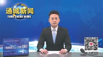 视频-省委常委、省军区司令员周月星来通城调研 