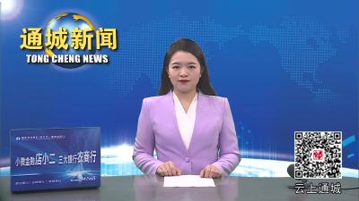 视频-杨修伟调研共同缔造点、民生实事项目建设情况并开展巡河工作 