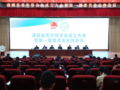 通城县青年联合会成立大会暨第一届委员会全体会议召开